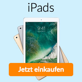 Apple iPad kaufen bei asgoodasnew